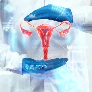 Fibroid Uterus